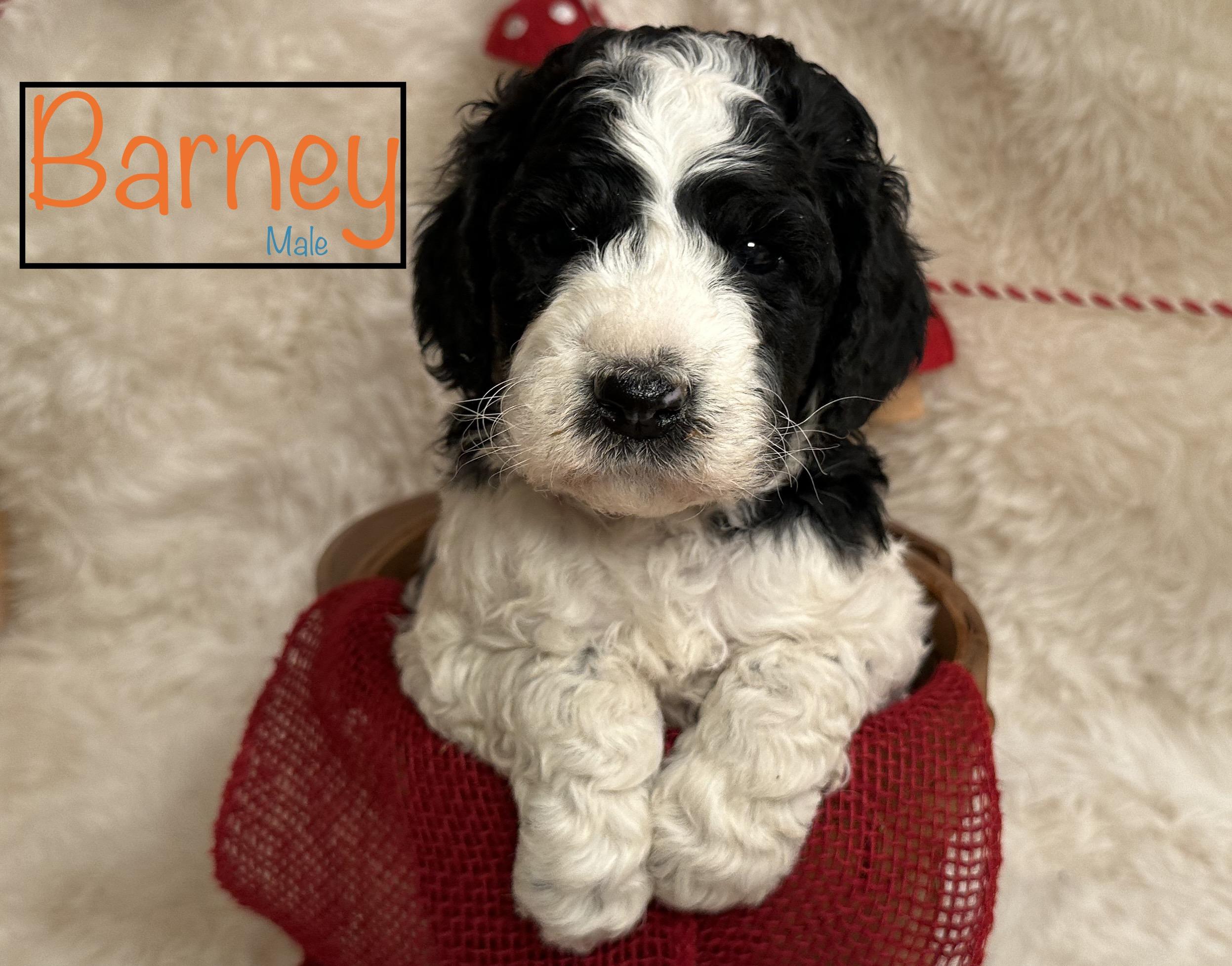 1903FEA8-5FBC-43BE-AC66-090212027129