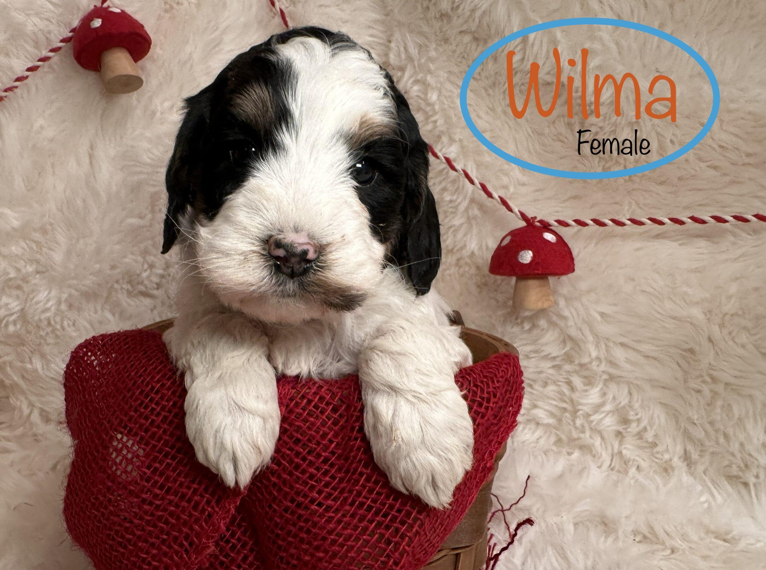 E25DB315-A0AA-4A31-9BD8-0B10B0631BE2